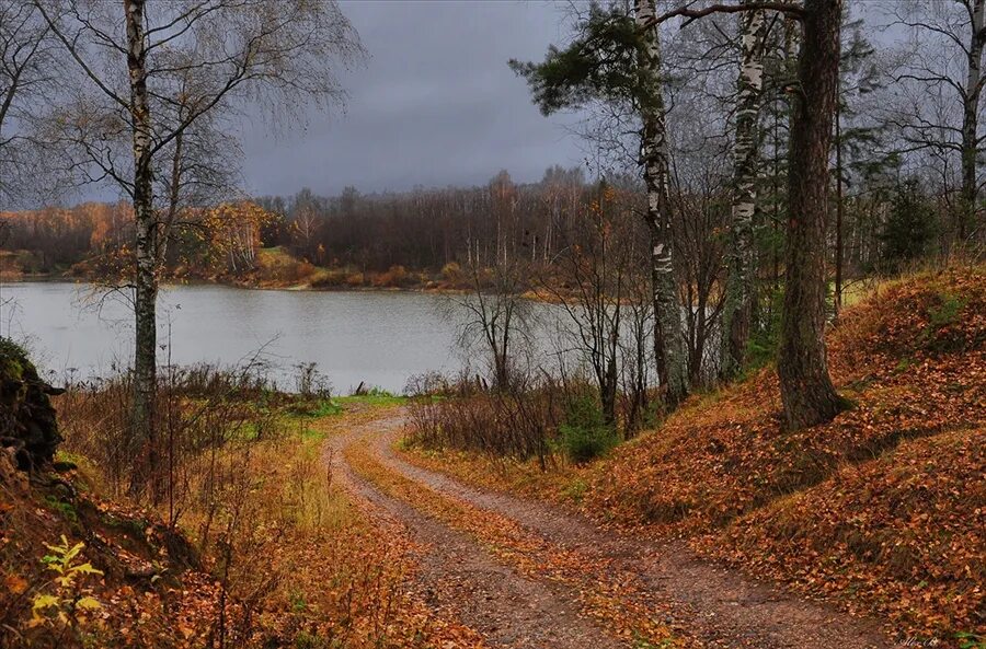 Поздняя осень. Осенний пейзаж пасмурный. Поздняя осень пейзаж. Россия природа осень пасмурно. Поздним ненастным вечером геологи