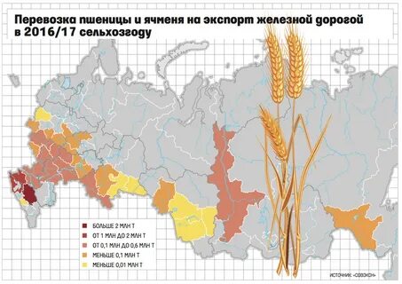 Главными районами выращивания пшеницы являются