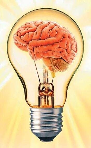 Кислород через мозг. Мозг насыщается кислородом. Мозг экономит энергию.