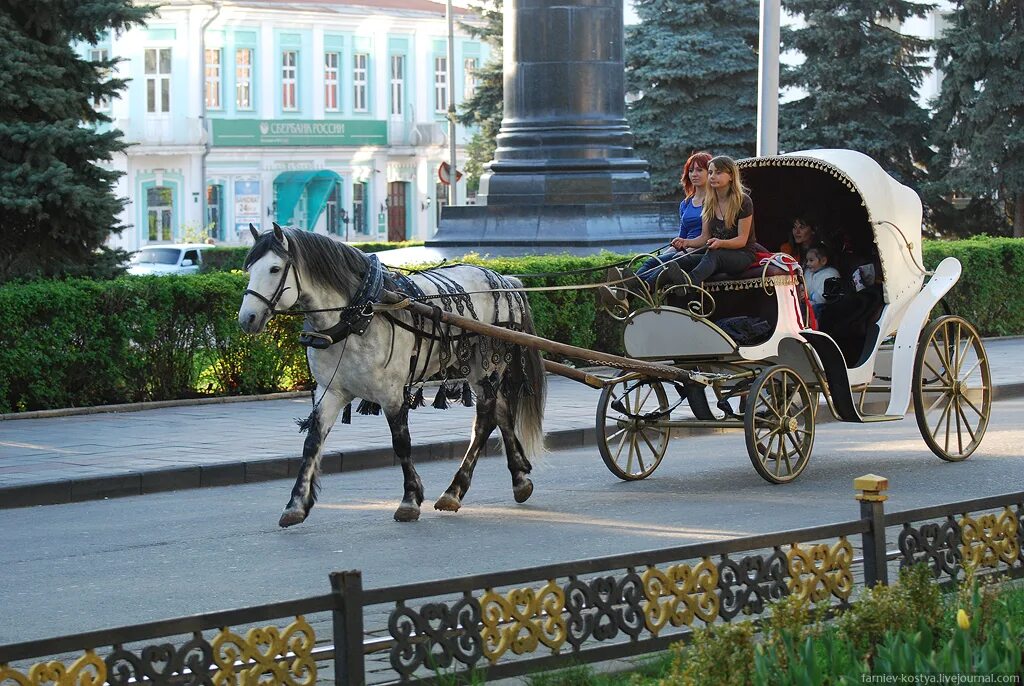 Запятки кареты. Старинное средство передвижения. старинное средство передвижения в россии. выездной лакей на запятках кареты.