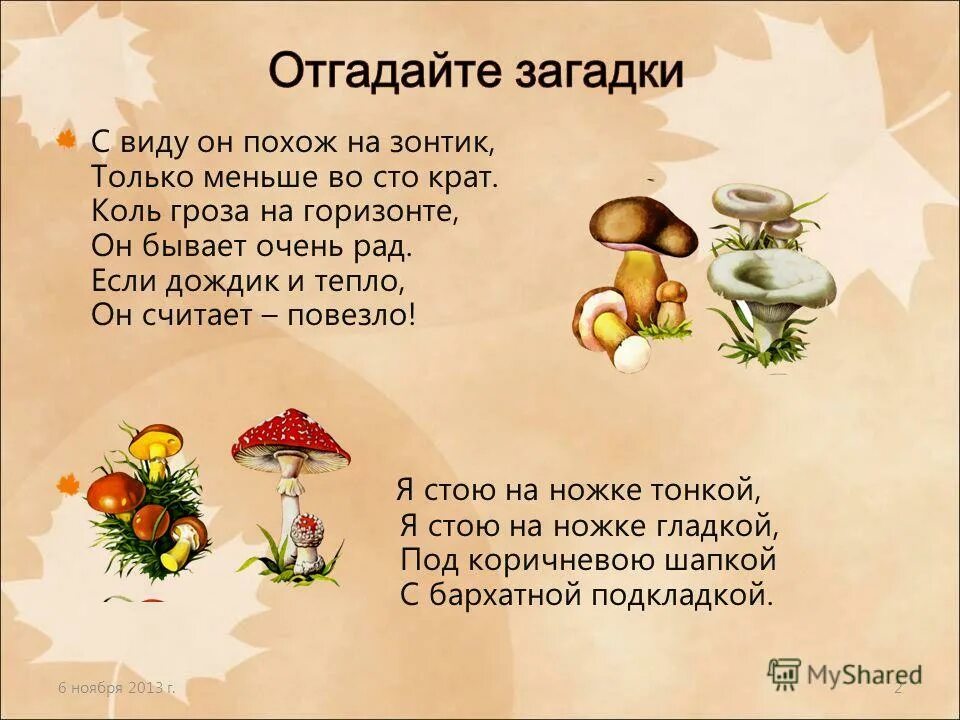 Похож на обезьяну. Похож на шрека. С виду он был похож. С виду он был похож. Загадки о живых организмах.