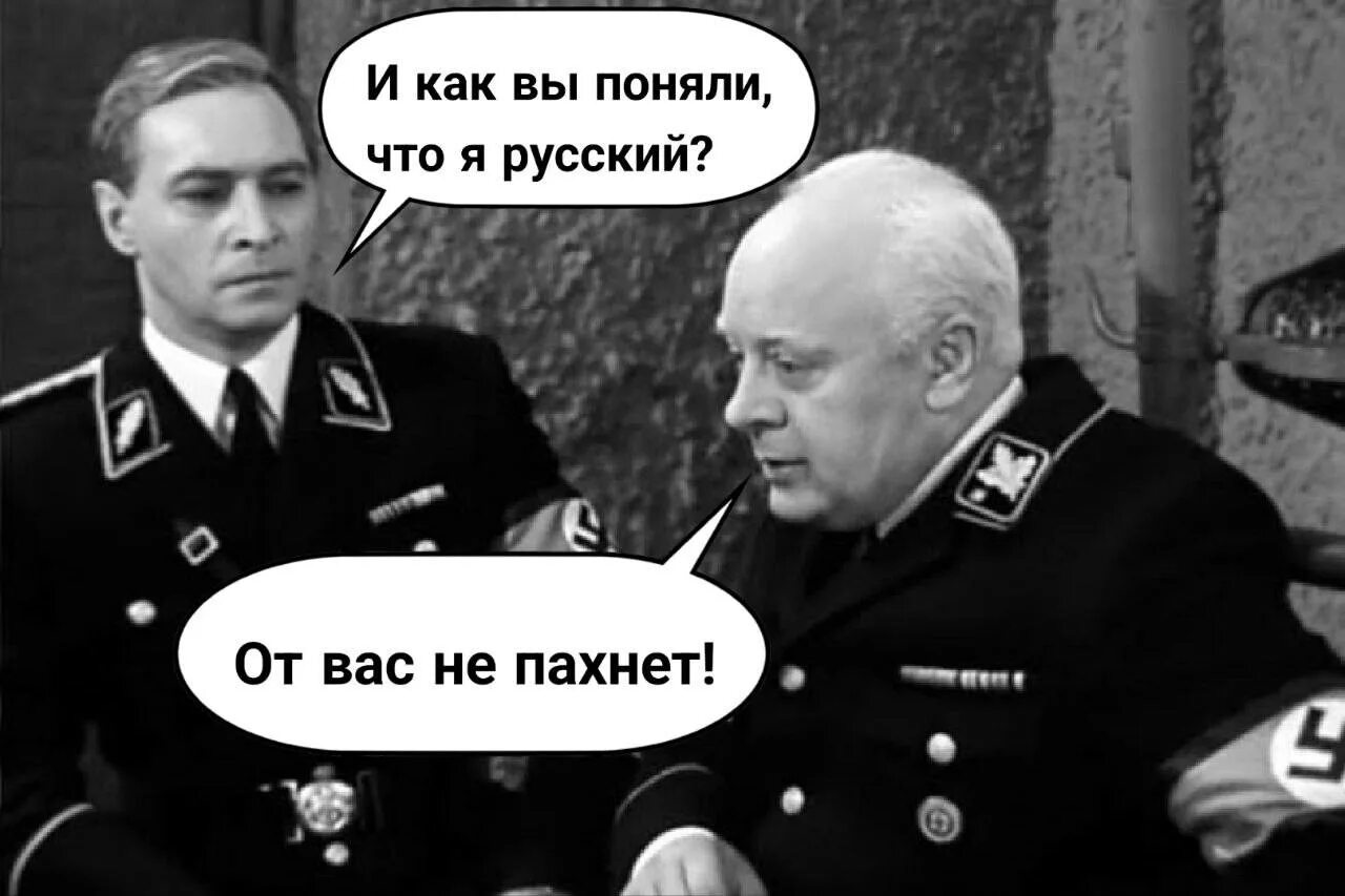 Штирлиц телеграм. Штирлиц никогда не был так близко. штирлиц никогда не был так близок к провалу. штирлиц никогда не был так близко к провалу. штирлиц ещё никогда так близко к провалу.