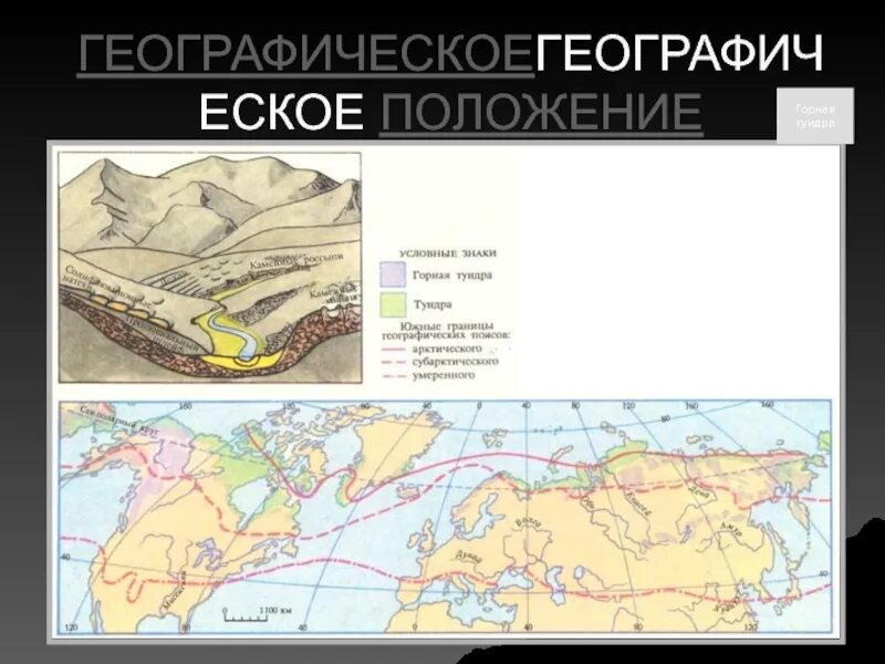 Географическое положение арктической тундры. Тундра на карте. горная тундра на карте. географическое положение тундры на карте.