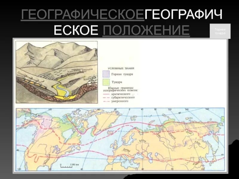 Тундра на карте. Географическое положение тундры на карте. Горная тундра на карте. Тундра на карте России.