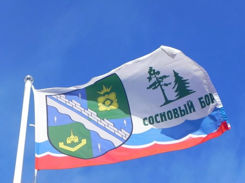 Создай собственный флаг. Герб города Сосновый Бор Ленинградской области. Флаг соснового Бора Ленинградской области. Город Сосновый Бор флаг. Флан города Сосновый Бор.