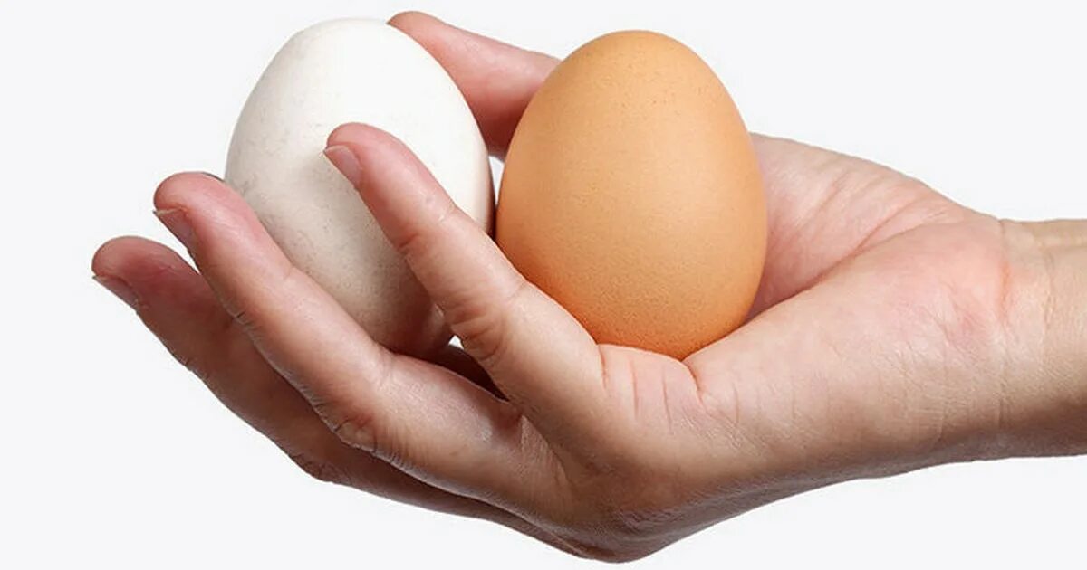 Мужские человеческие яйца. Три яйца. Куриные яйца. Яйца 3 шт. Три яйца картинка.
