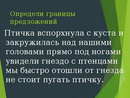 Ошибка птицы