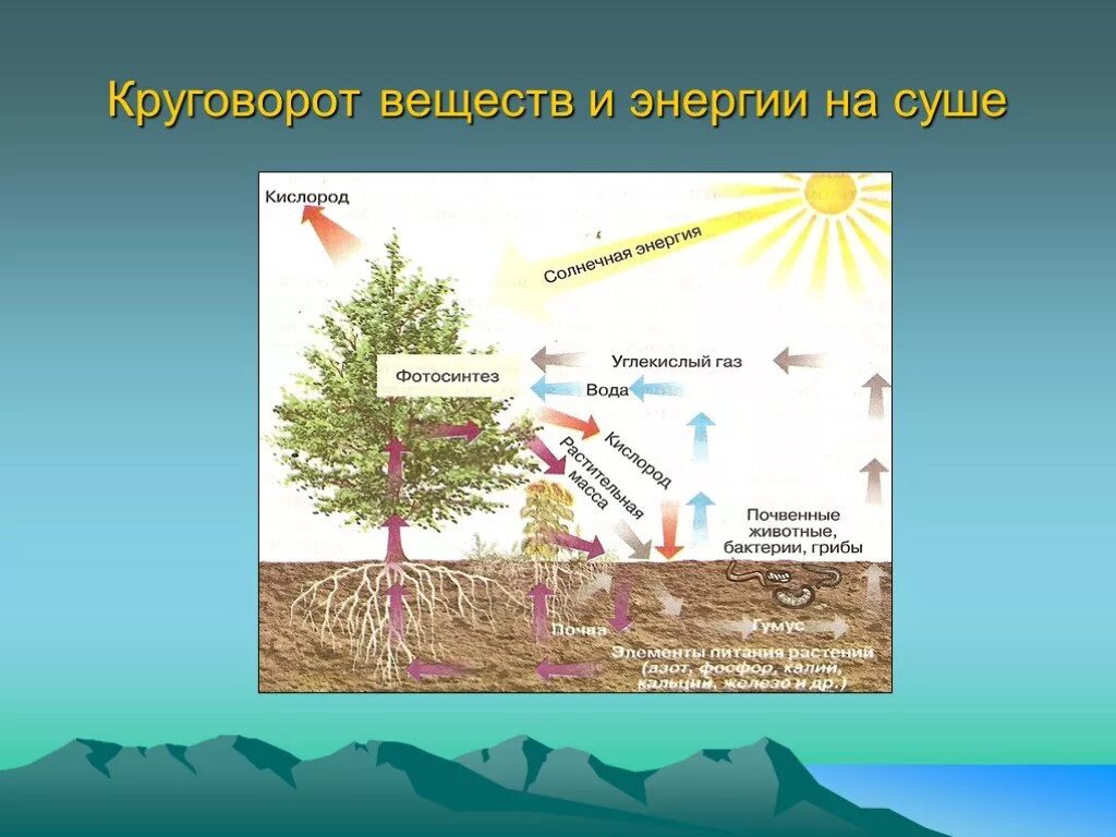 Круговорот веществ в природе география 6 класс. Круговорот веществ. Круговорот веществ в природе. Схема биологического круговорота веществ. Схема круговорота веществ и энергии.