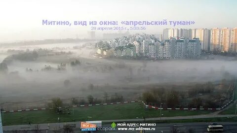 Смотрящий митино
