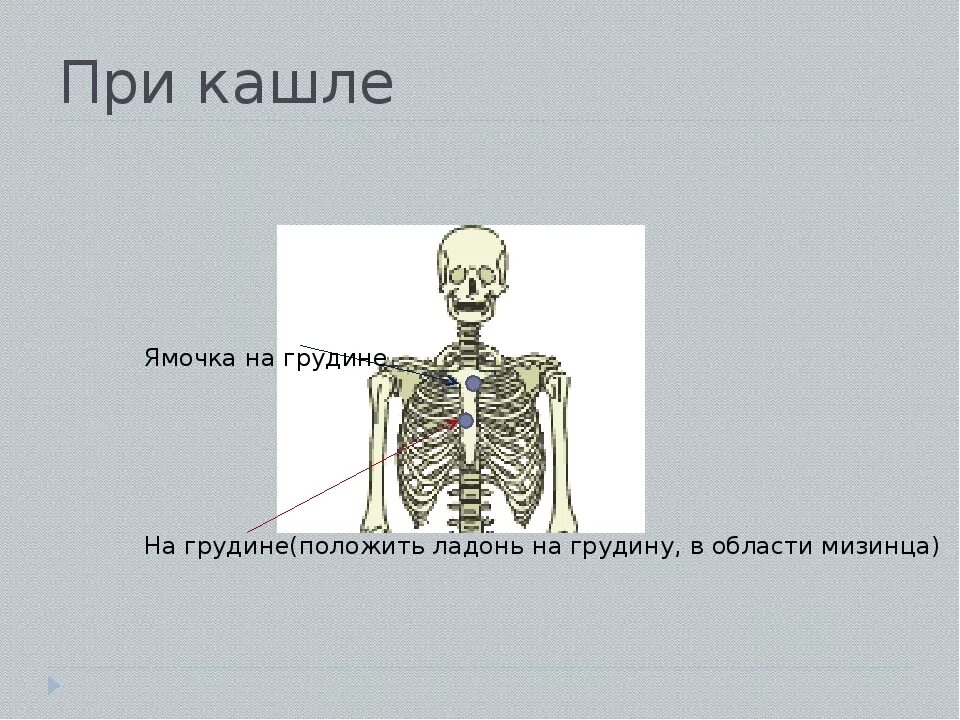 Почему при кашле боль. Кашель и болит грудная клетка. Боль в грудине при кашле. При кашле болит грудная клетка. При кашле больно в грудине.