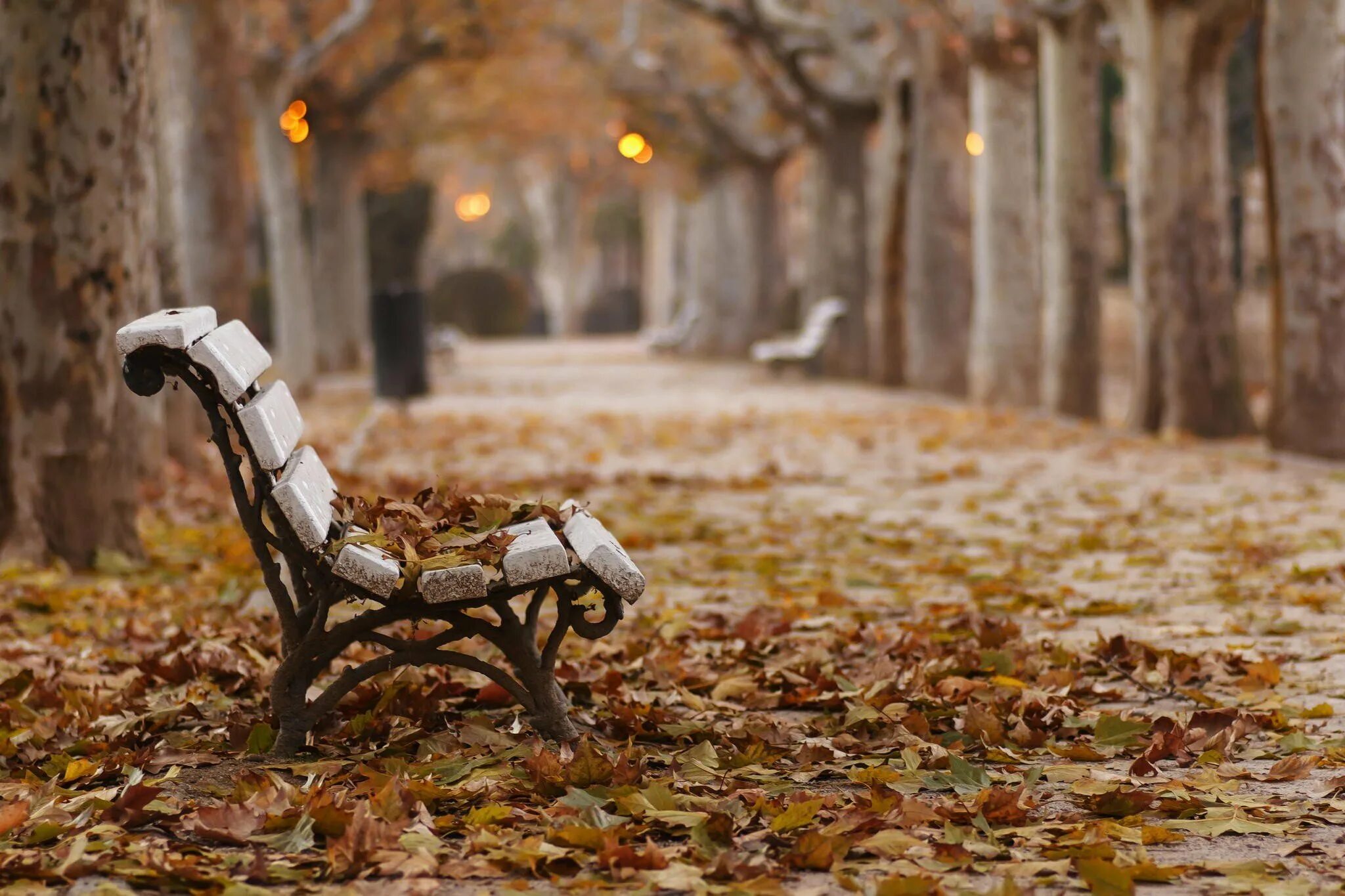 Осень грустит. Осень скамейка. Осень парк лавочка. Осень парк скамейка. Грустная осень.