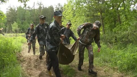 Зарница видео