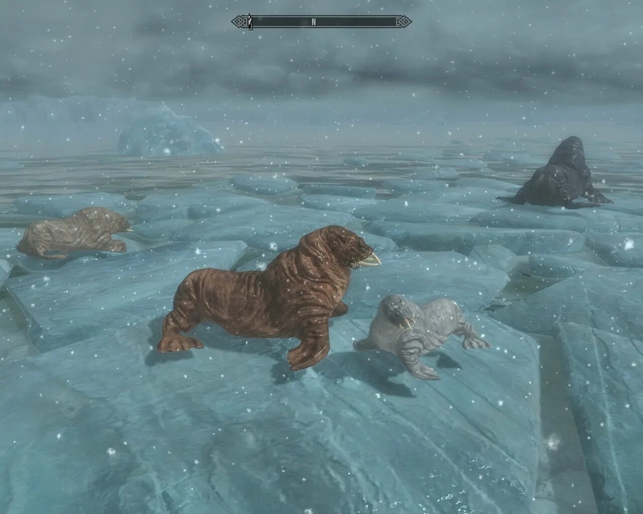 Animals skyrim