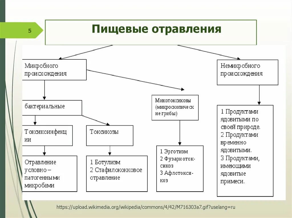 К пищевым заболеваниям относятся. Пищевые отравления схема. Классификация пищевых отравлений схема. Классификация пищевых отравлений микробиология. Классификация пищевых отравлений таблица.