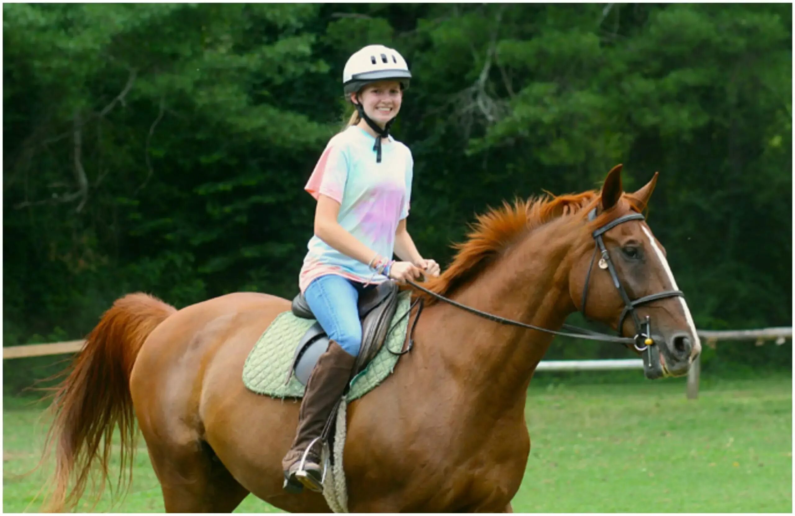 Horse перевести