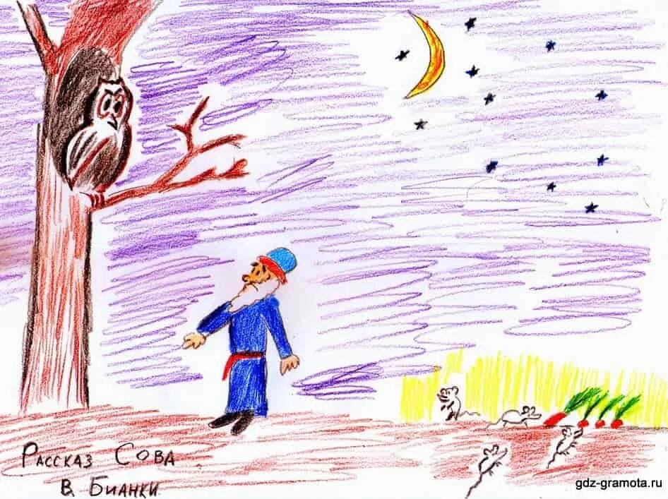 Нарисовать рисунок к произведению. Сказка Сова Бианки. Иллюстрация к рассказу Сова Бианки. Рисунок к рассказу Бианки Сова. Иллюстрация к рассказу Сова Бианки 2 класс.