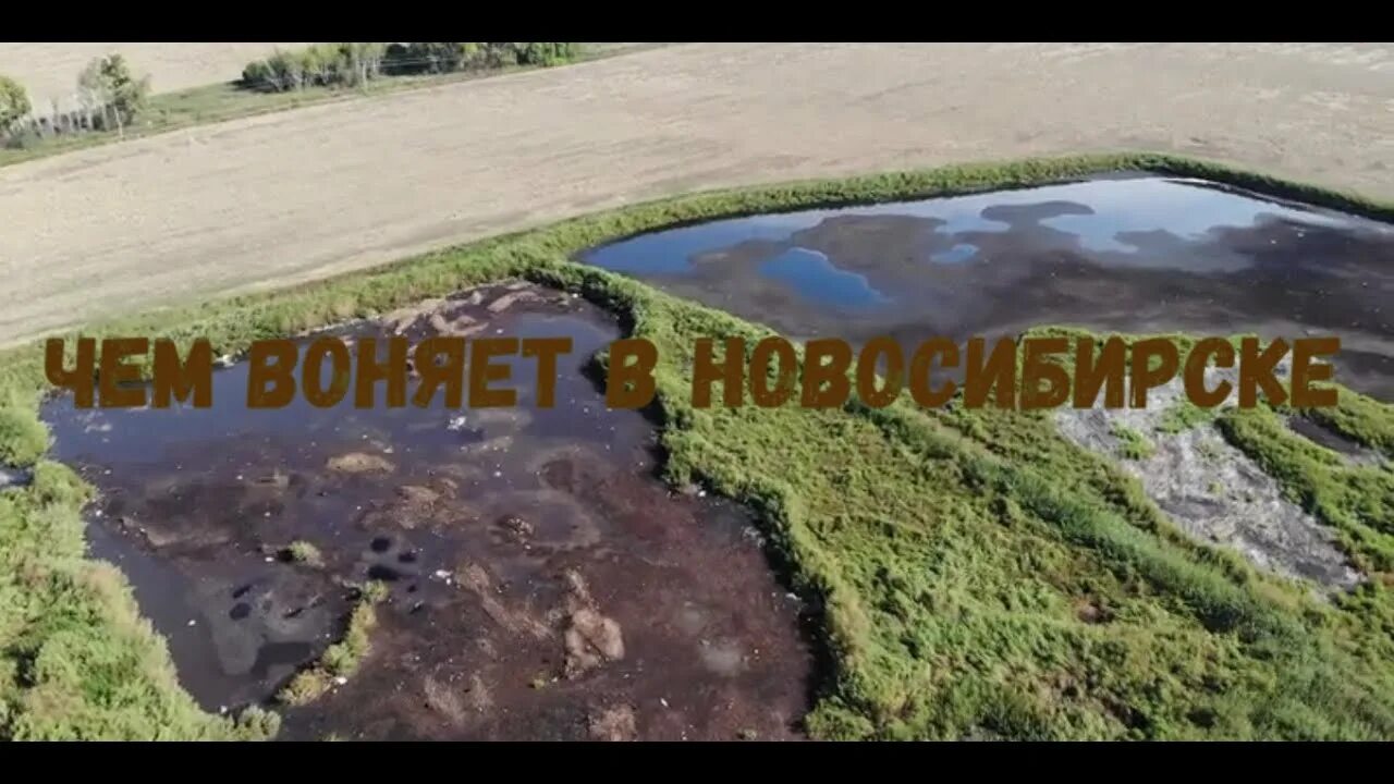 Вонь в Новосибирске. Неприятный источник. Где воняет