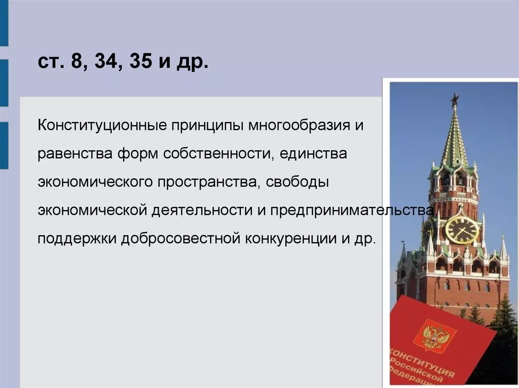 Принцип единства конституция рф. Многообразие форм собственности. Виды многообразие и равноправие форм собственности. Принцип многообразия и равенства форм собственности. Принцип разнообразия форм собственности.