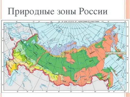 Карта природных зон 8 класс география