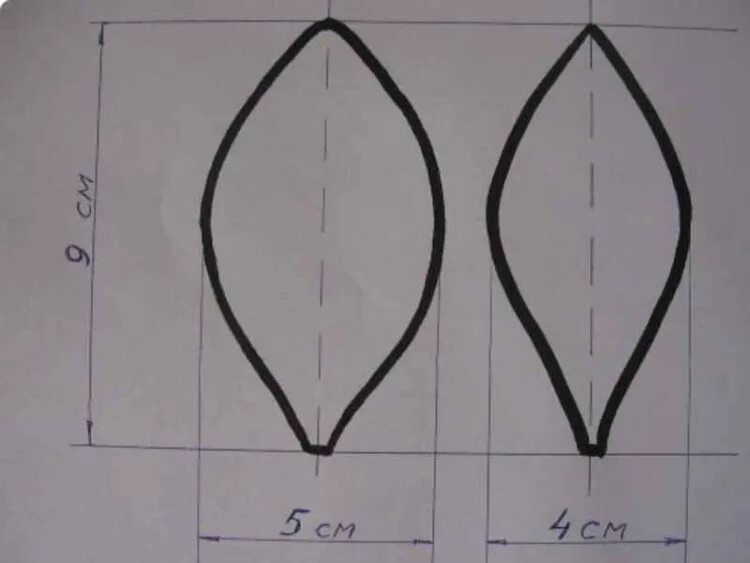 Лепесток тюльпана для вырезания. Лепестки лилии из изолона. Выкройки лепестков лилии из изолона. Трафареты лепестков цветов. Шаблон лепестков лилии.