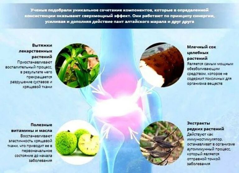 Питание для костей хрящей и суставов. Продукты разрушающие суставы и хрящи. Диета для восстановления хрящевой ткани в суставах. Продукты полезные для суставов. Продукты для восстановления хрящей.