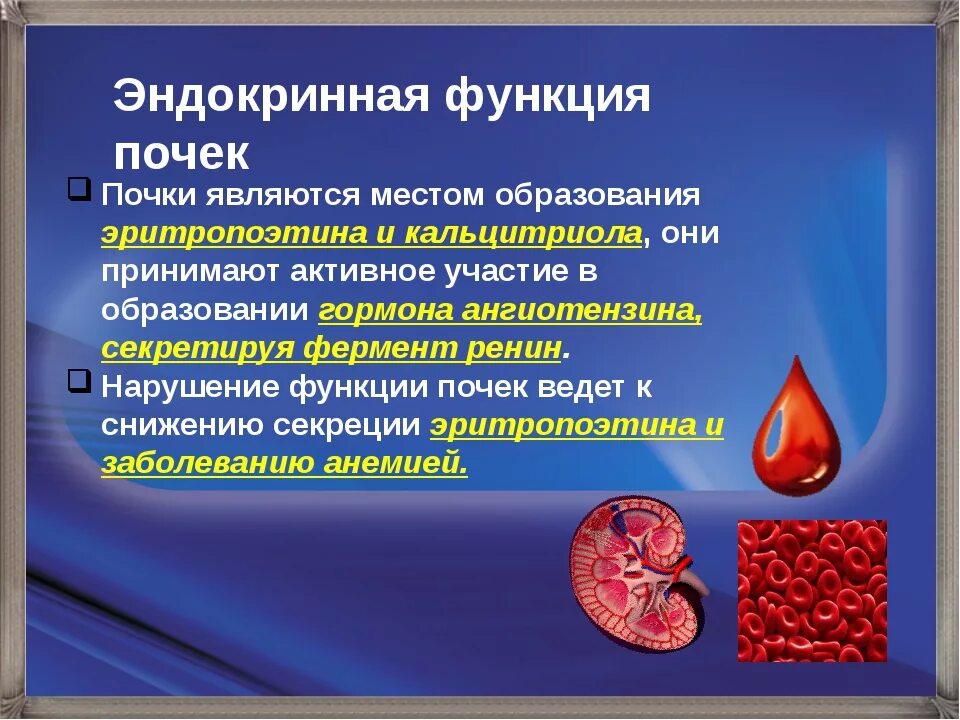 Эндрокриннаяфункция почек. Эндокринная функция почек. Эндокринные структуры почки. Гормонообразующая функция почки..