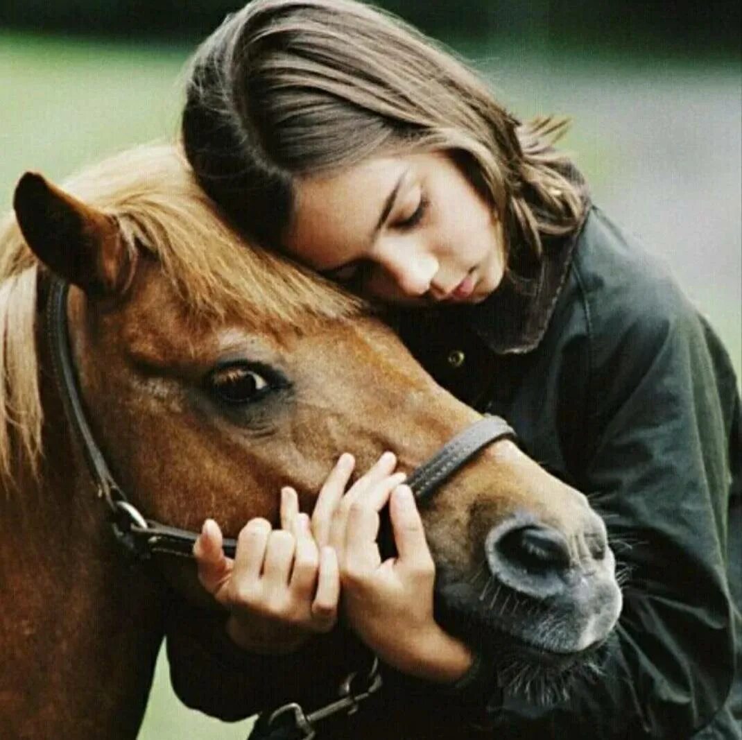 Взаимоотношения лошади и человека. Любовь лошадей. Девушка обнимает лошадь. Объятия с лошадью. Человек на лошади.