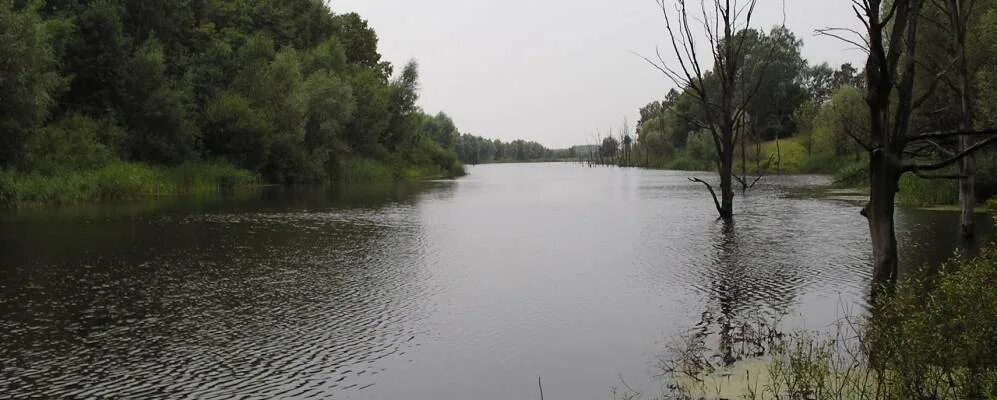 Городное курская область. Карманово курская область железногорский. Деревня карманово курская обл. Деревня карманово курская обл. Карманово курская область железногорский.