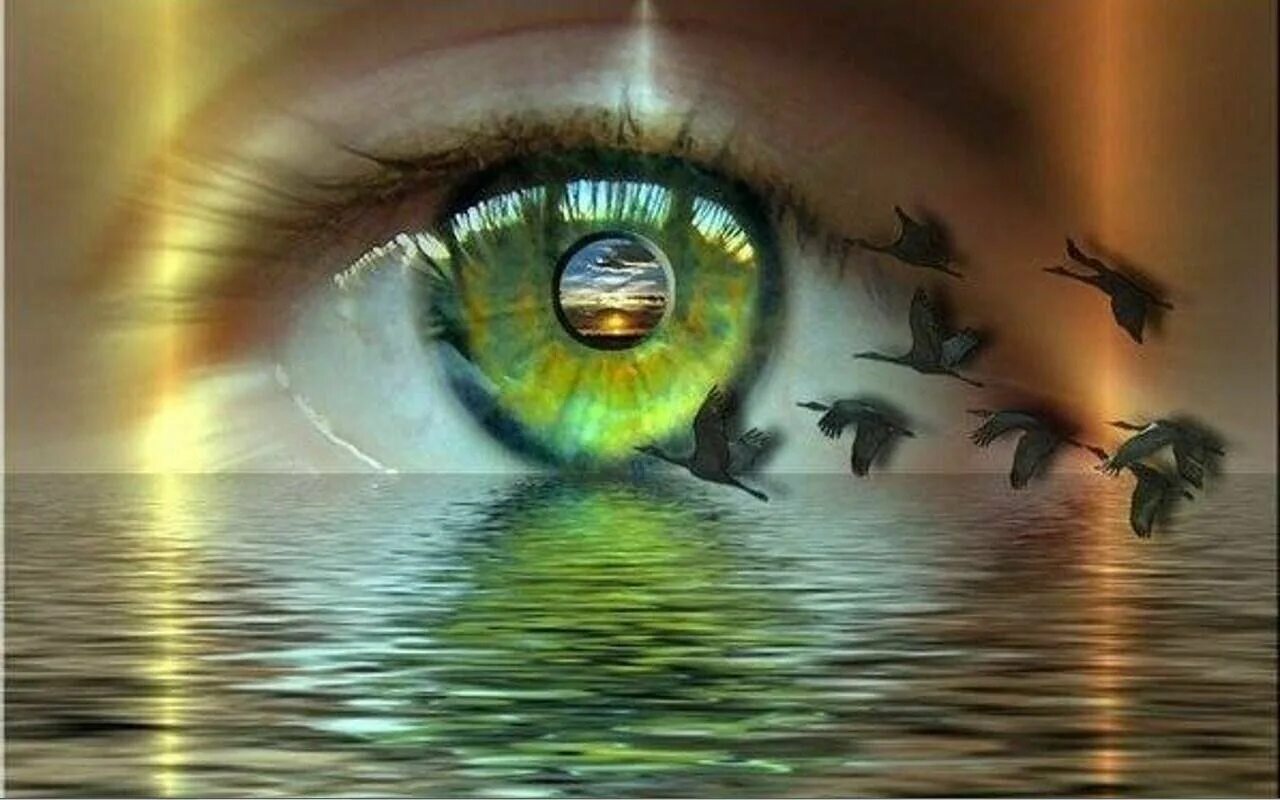 Я пришел за счастьем слушать. Природа глазами души. Глаза природы. Глаза отражение души.