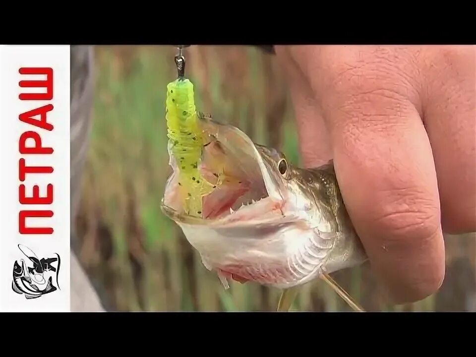 Ловля щуки на блесна видео. Ловля щуки на блесна видео