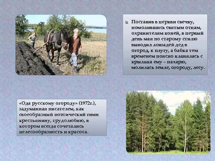 Оды русскому огороду картина. Ода огороду читать. Сочинение тему ода русскому огороду. Оды русскому огороду картина. Ода огороду читать.