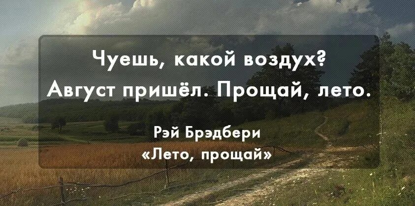 Уходящий август цитаты. Лето прощай цитаты. август брэдбери цитата.