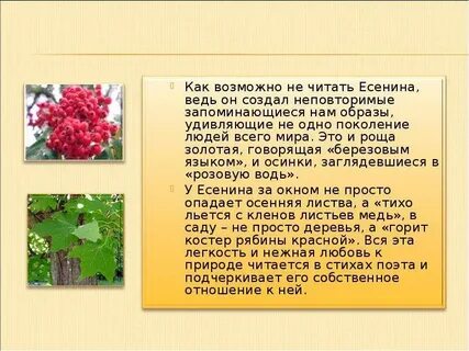 Стихотворение есенина цветы