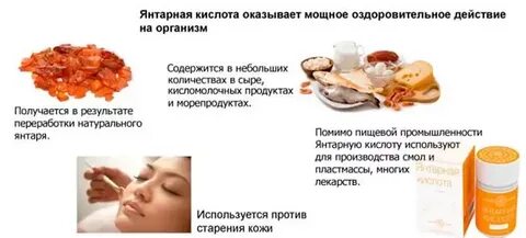Янтарная кислота в продуктах