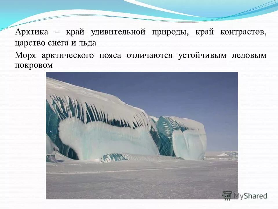 Арктика царство снега и льда. Арктика презентация. Проект Арктика. Климат в ледяной пустыне.