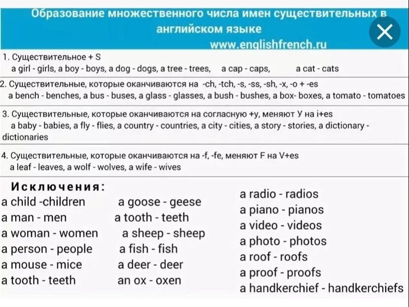 Формы существительных в английском языке