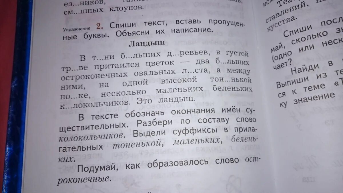 Спиши текст. Вставь буквы. Спиши текст вставь. Спишите текст вставляя пропущенные буквы. Спиши второй абзац текста обозначь окончания