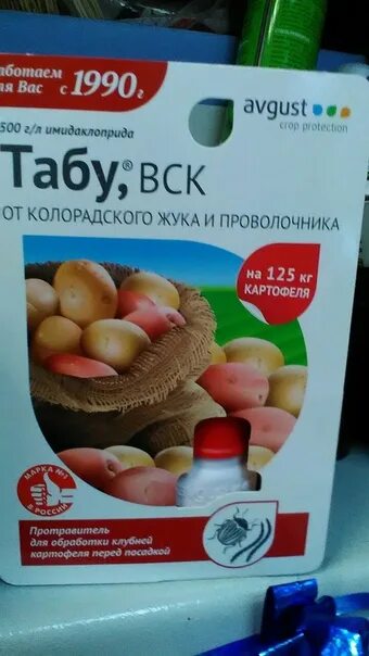 Как обработать картофель фитоспорином