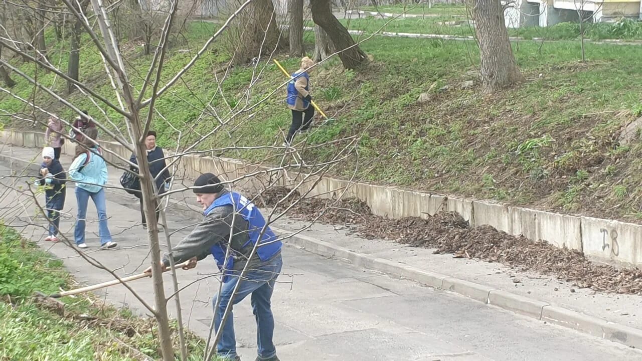 Общественная посадка цветов. Смоленск зеленстрой зеленстрой. Весной при проведении работ. Весной при проведении работ. Весной при проведении работ.