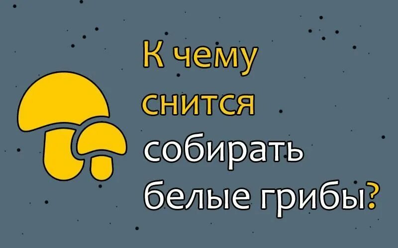 К чему снятся грибы собирать белые. К чему снится собирать грибы. Во сне собирать грибы к чему снится. Сонник к чему снится собирать грибы. К чему снится есть грибы