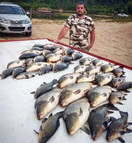 рыболовный клуб выкса. рыболовный клуб выкса. рыбалка в выксе. рыболовный клуб выкса. рыбацкий клуб раскаты.