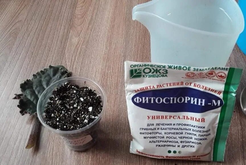 Фитоспорин 200гр. Фитоспорин для комнатных цветов инструкция по применению. Фитоспорин состав препарата. Фитоспорин-м, паста, 200 гр. Фитоспорин для комнатных цветов инструкция по применению.