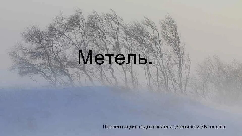 Слова пурга. Вьюга статус. Метель для презентации. Вьюга для презентации. Метель явление природы.