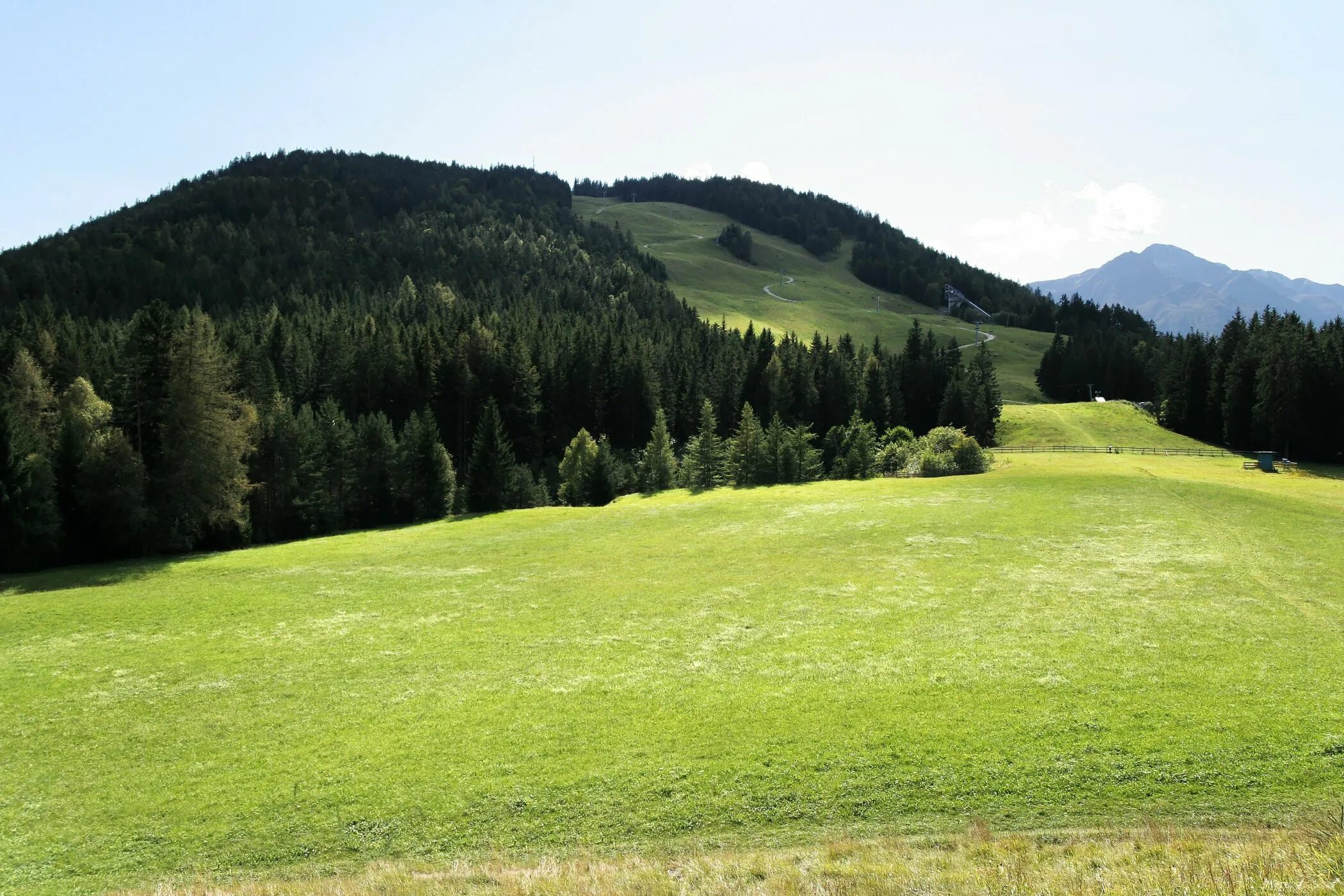 Forest hill. Гольф клуб forest hills. Форест хиллс гольф крылатское. Forest hill. Лес на холме.