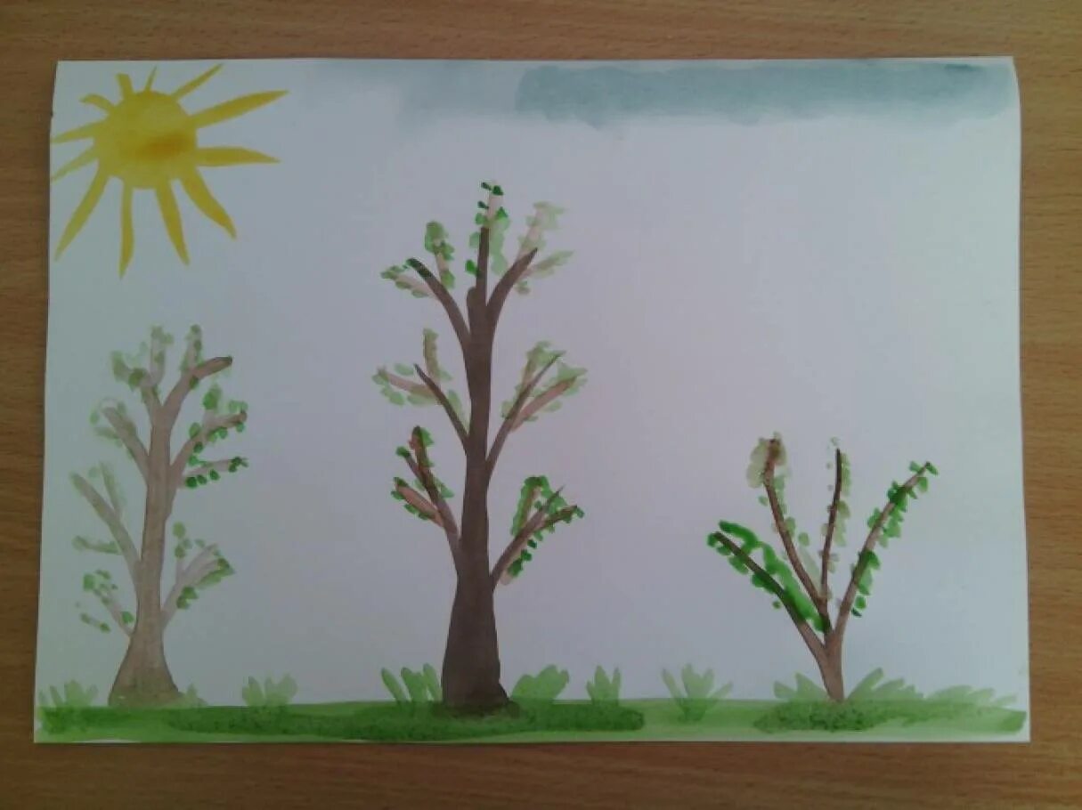Конспект занятия весенний лес. Весеннее дерево рисование в средней группе.