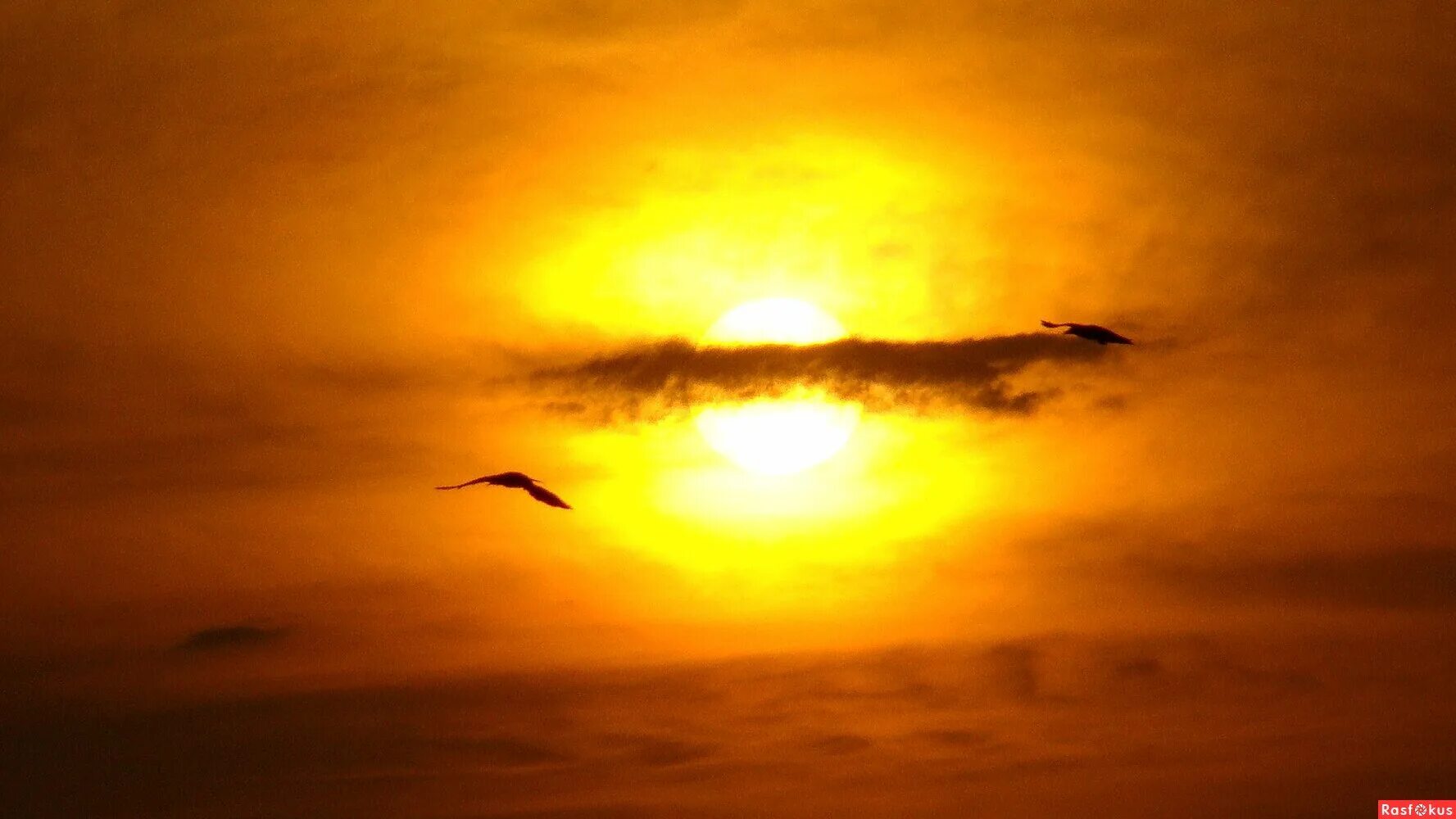 тающий закат. тающий закат. тающий закат. ночная природа. тающий закат.