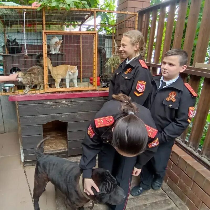 мини приют гелиос