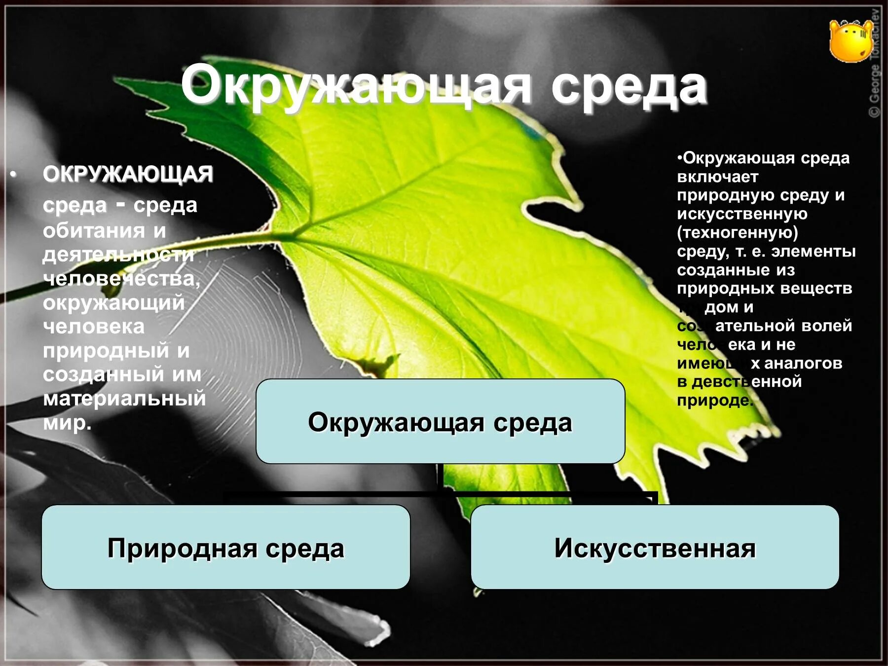 Окружающая среда презентация. Презентация на тему окружающая среда. Естественная и искусственная окружающая среда. Окружающая среда и среда обитания.