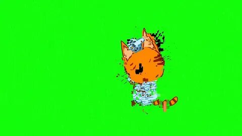 Футаж 3 кота
