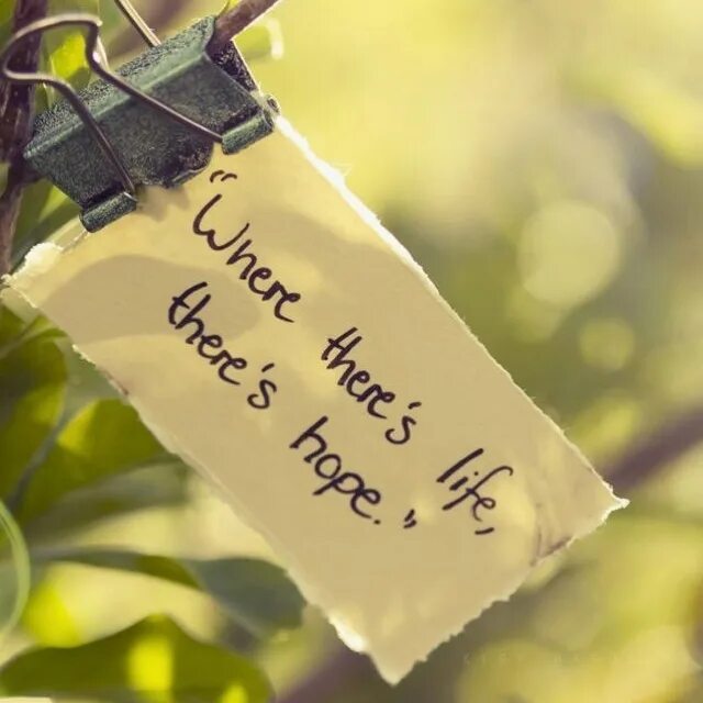 Your hope. Never lose your hope. Nice pictures for hope without words. Hope is my life. Hope текст.